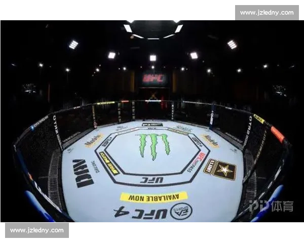 UFC 317 终极备战：八角笼即将点燃，谁能笑到最后？